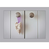 Cuadro Detalle Puerta Bebé 