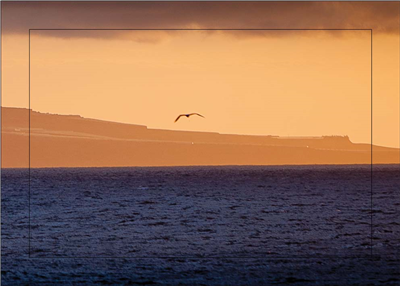 Cuadro Atardecer y Gaviota