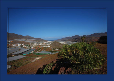 Cuadro Tabaiba y Vistas 