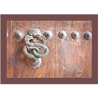 Detalle Llamador Portón