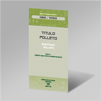 Flyer Informát. Placa DL