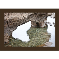 Cuadro Formas Naturaleza