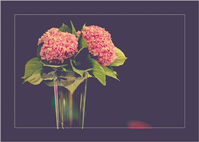 Cuadro Flor del Mundo