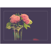 Cuadro Flor del Mundo