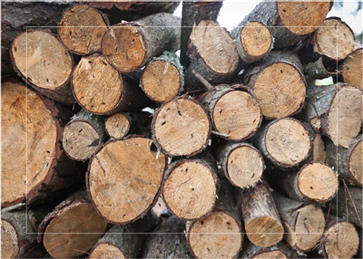 Cuadro Troncos Apilados II