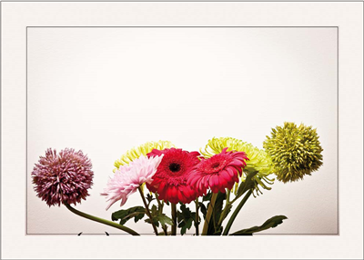 Cuadro Flores de Colores