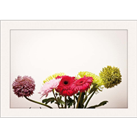 Cuadro Flores de Colores