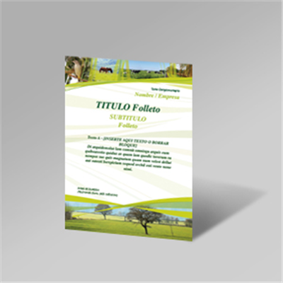 Flyer Agric. Pradera A6