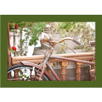 Cuadro Bicicleta Antigua