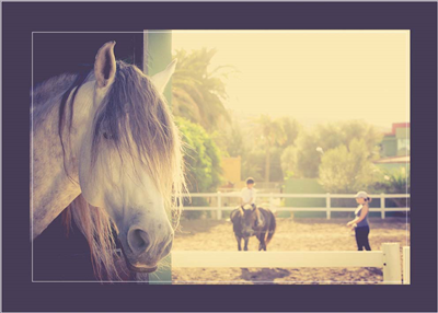 Cuadro Caballo en Establo