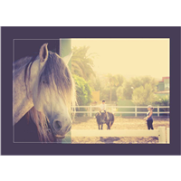 Cuadro Caballo en Establo