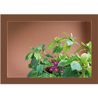 Cuadro Maceta con Flores 