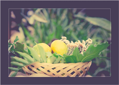 Cuadro Cesta Limones