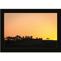 Cuadro Atardecer Palmeral