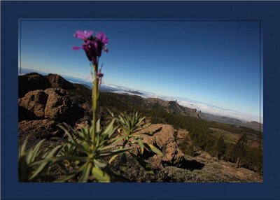Vistas al Roque Nublo