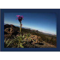 Vistas al Roque Nublo