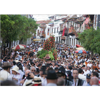 Cuadro Romería Canaria