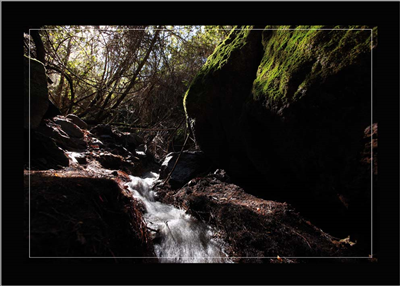 Cuadro Después Lluvia