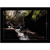 Cuadro Después Lluvia