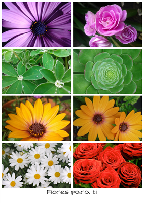 Póster collage fotos rectangulares