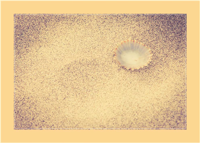 Cuadro Concha y Arena