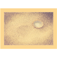 Cuadro Concha y Arena