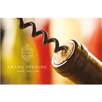 Flyer Botella Vino A5