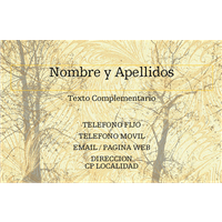 Tarjeta Comercial Ramas